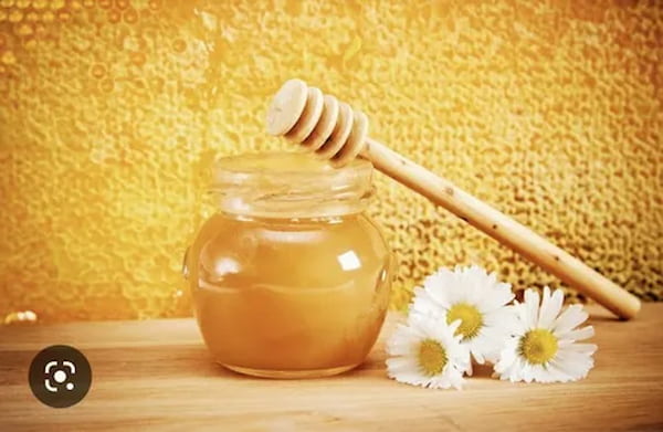 تصویر 3 از خرید و قیمت عسل کنار اصل + فروش صادراتی